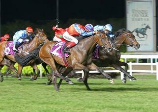 Ready to Run graduate claims first black-type victory. Photo: Singapore Turf Club. 